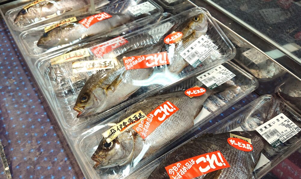 「フードストアあおき 伊東店 」鮮魚コーナーの脂の乗ったイサキ