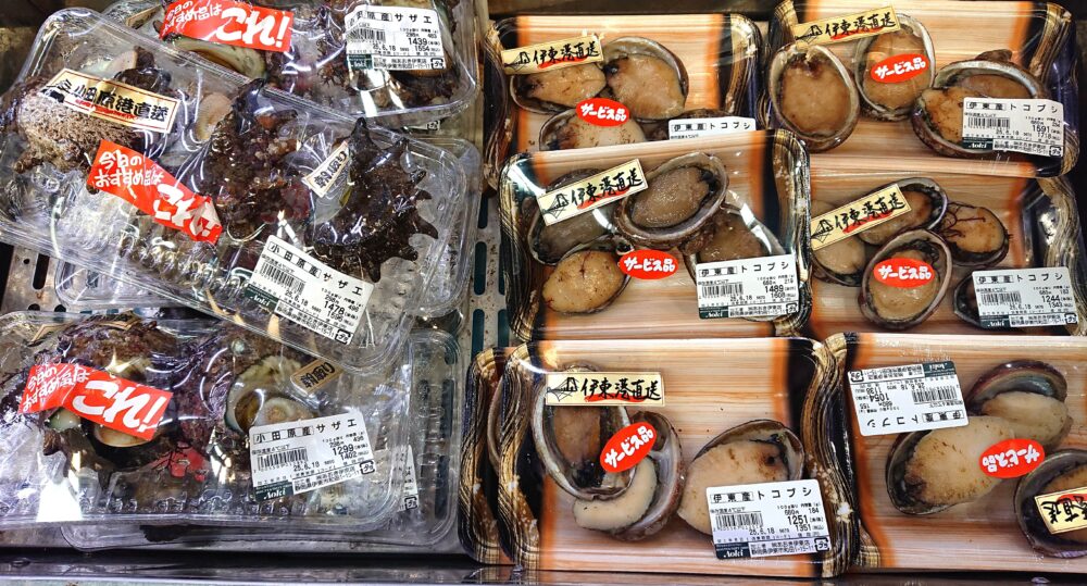 「フードストアあおき 伊東店 」鮮魚コーナーのBBQにぴったりの小田原産サザエと伊東産トコブシ