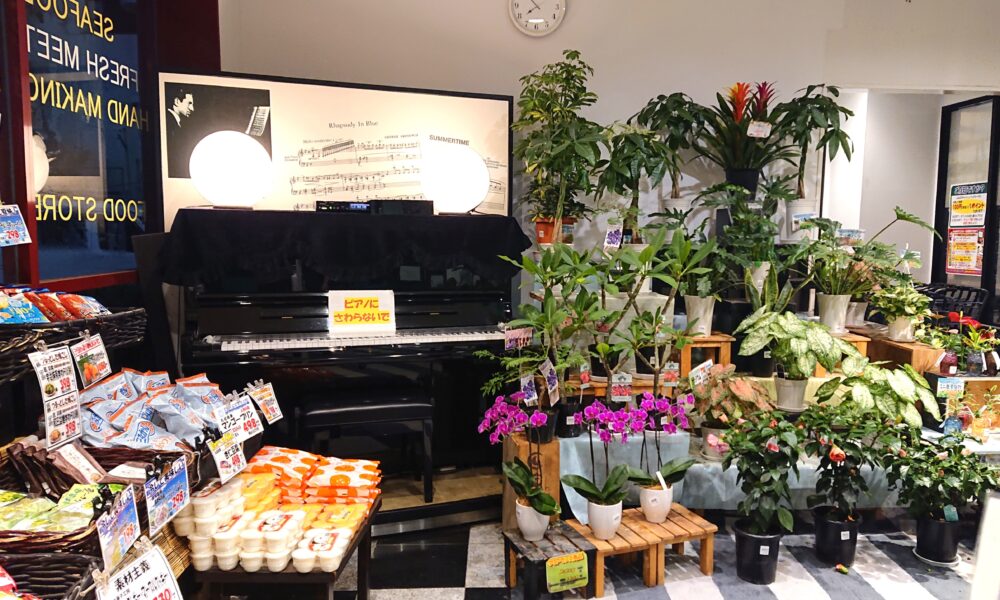 「フードストアあおき 伊東店 」入口の自動演奏ピアノ